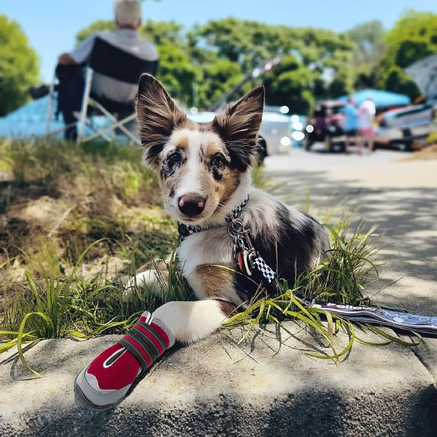 2PCS Dog Boots for Large Dogs, Medium Dog Shoes & Paw Protectors for Hot Pavement, Summer Heat Protection, Mesh Breathable Nonslip Dog Booties for Hardfloors, Walking Running Hiking Red Size 7