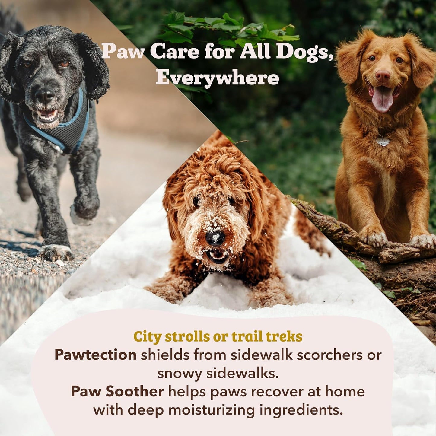 Pawtection Balm 1 Oz Tin – Dog Paw Protection with Shea Butter & Calendula – Shields Paws from Snow, Ice, Salt, Hot Pavement & Rough Terrain – Lick-Safe, All Breeds