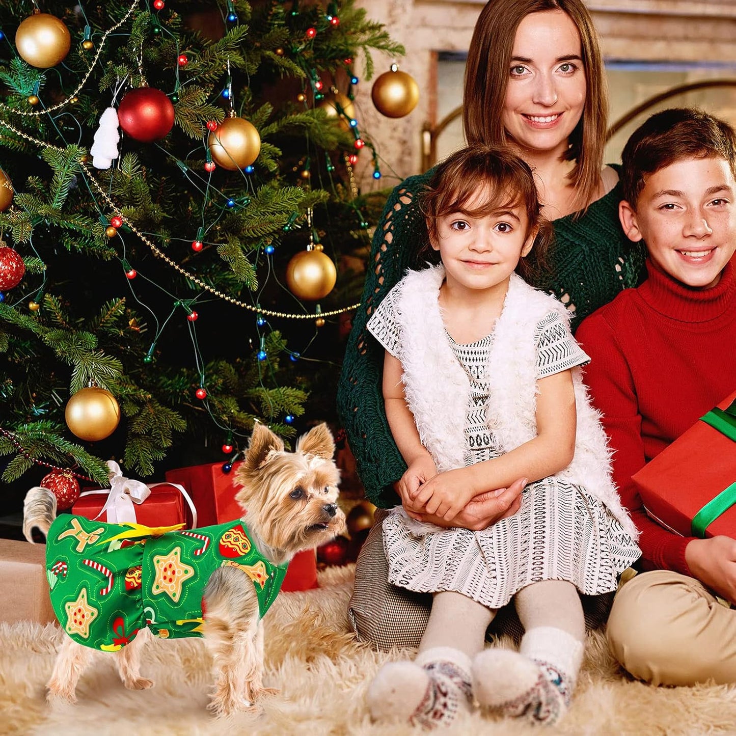 5 Pieces Christmas Dog Dress Cute Pet Princess Dress Bow-Knot Tutu Clothes Snowman Bell Reindeer Santa Dog Outfit Christmas Style Dog Skirt Elegant Pet Christmas Apparel Doggie Clothes(S (Fit 3-4Lbs))