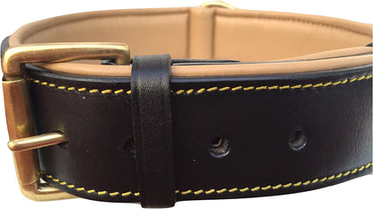 Black Leather Padded Dog Collar with Heavy Duty Brass Buckle, Size Xlarge, 28" Long X 1.75" Wide, Neck Size Fits 22" to 25" Inches