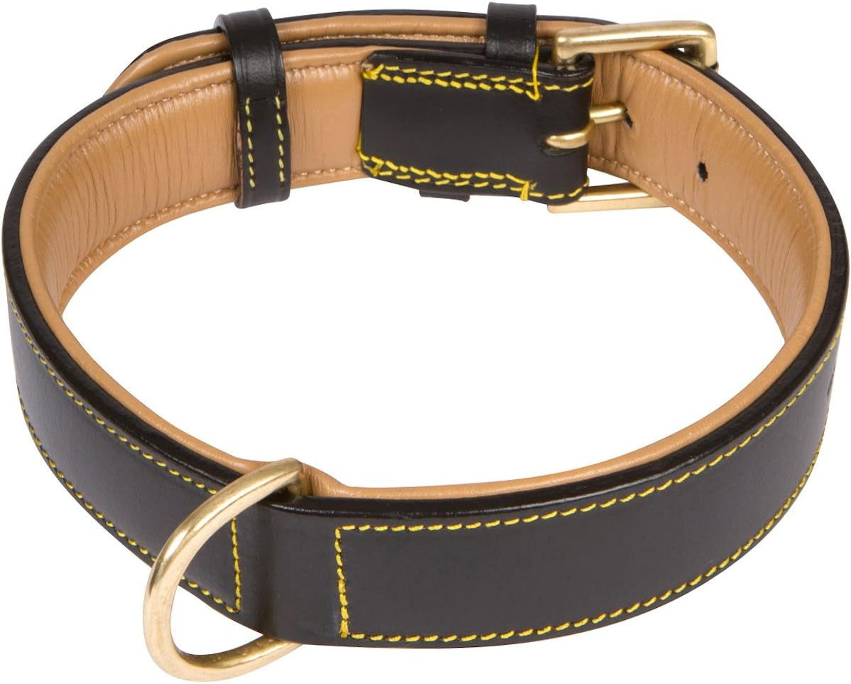Black Leather Padded Dog Collar with Heavy Duty Brass Buckle, Size Xlarge, 28" Long X 1.75" Wide, Neck Size Fits 22" to 25" Inches