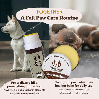 Pawtection Balm 1 Oz Tin – Dog Paw Protection with Shea Butter & Calendula – Shields Paws from Snow, Ice, Salt, Hot Pavement & Rough Terrain – Lick-Safe, All Breeds
