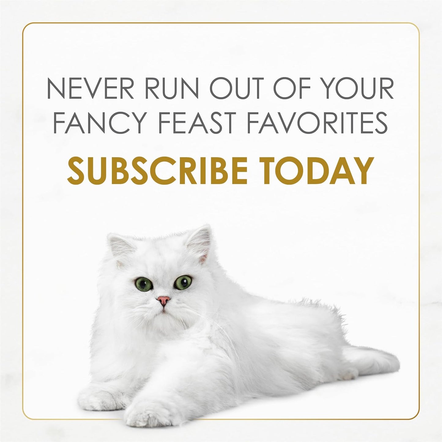 Purina  Gourmet Wet Cat Food Variety Pack, Petites Pate Collection, Break-Apart Tubs, 24 Servings - (Pack of 12) 2.8 Oz. Tubs