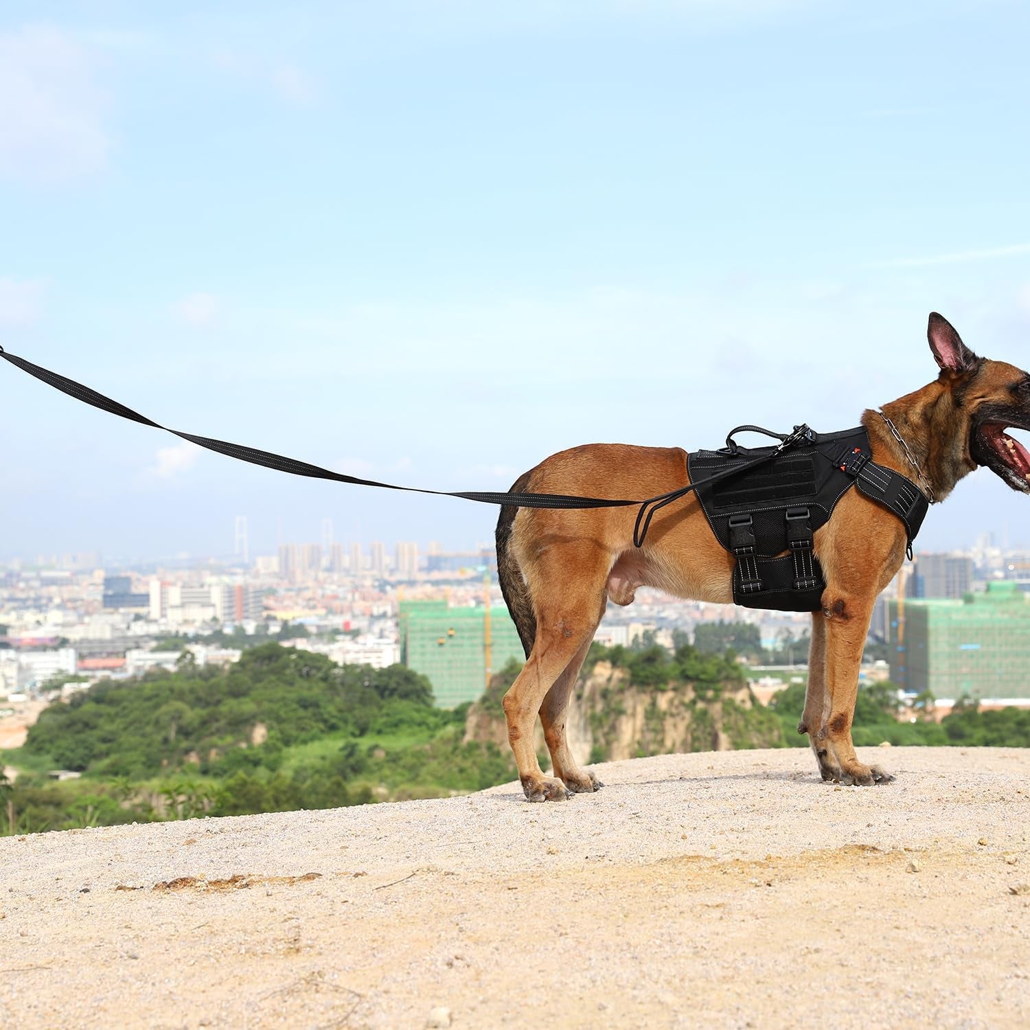 Relfective Dog Leash for Medium Large Dogs,K9 Training Walking Lead with Double Handle,Heavy Duty Auto-Lock Metal Clasp (6Ft, Black)