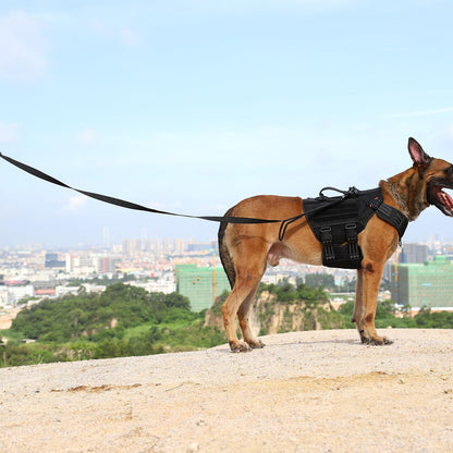 Relfective Dog Leash for Medium Large Dogs,K9 Training Walking Lead with Double Handle,Heavy Duty Auto-Lock Metal Clasp (6Ft, Black)