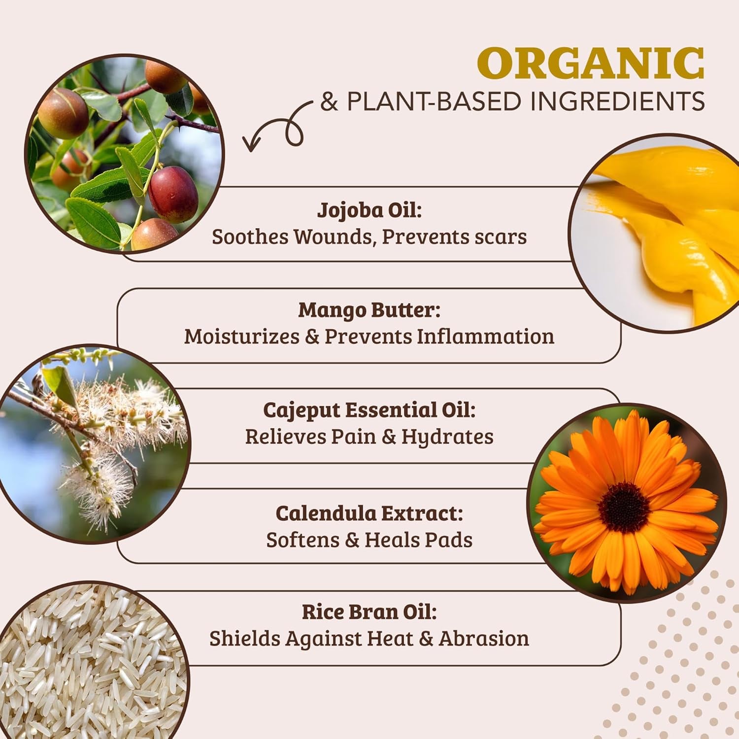 Pawtection Balm 1 Oz Tin – Dog Paw Protection with Shea Butter & Calendula – Shields Paws from Snow, Ice, Salt, Hot Pavement & Rough Terrain – Lick-Safe, All Breeds