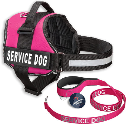 Service Dog Vest with Hook and Loop Straps & Matching Leash Set - Harnesses from XXS to XXL - Service Dog Harness Features Reflective Patch and Comfortable Mesh Design (Pink, XXS)