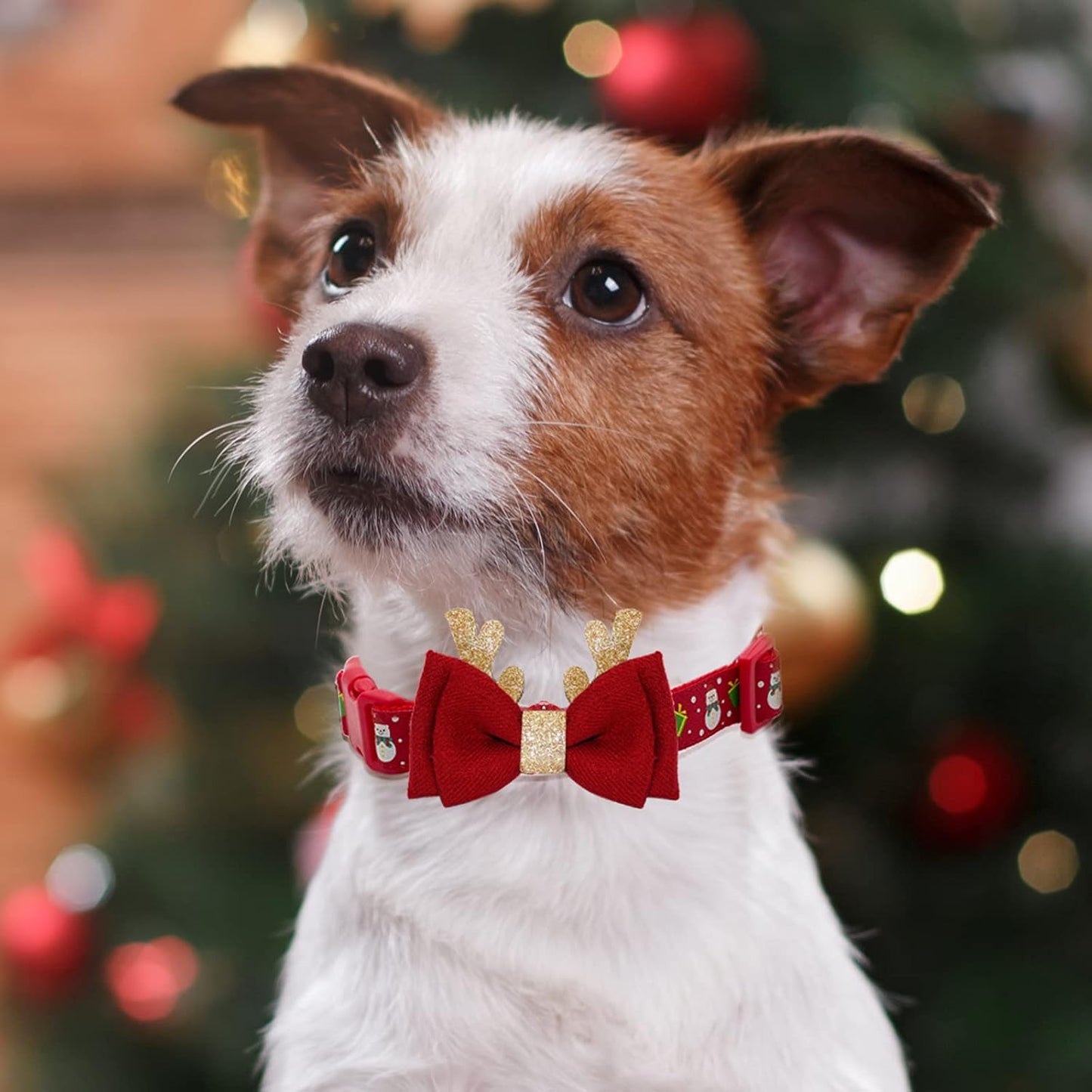 Christmas Dog Collar Adjustable Xmas Dog Collars with Christmas Antler Bow Tie Accessories Snowman Dog Collar for Medium Dogs